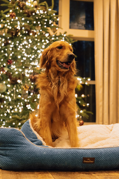 GRANDTIES グランタイズ ペットベッドカドラー 【XLサイズ】