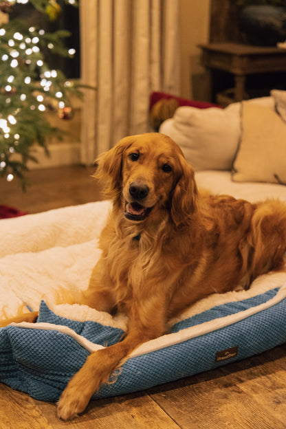 GRANDTIES グランタイズ ペットベッドカドラー 【XLサイズ】