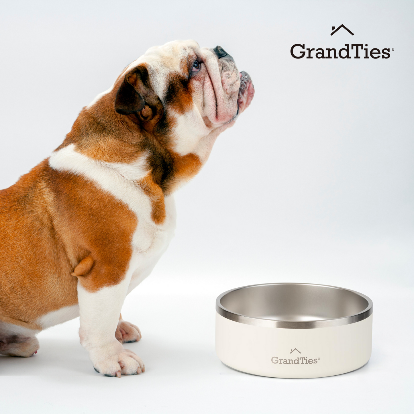 GRANDTIES グランタイズ ペットボウルスモール【710ml】
